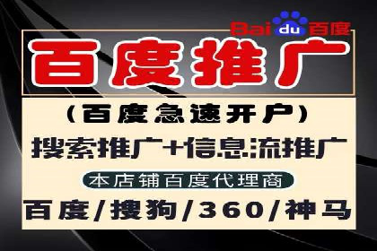 百度广告投放策略优化及成功案例解析